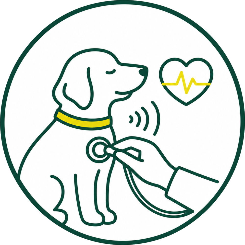 イラスト：心音に雑音が認められる犬