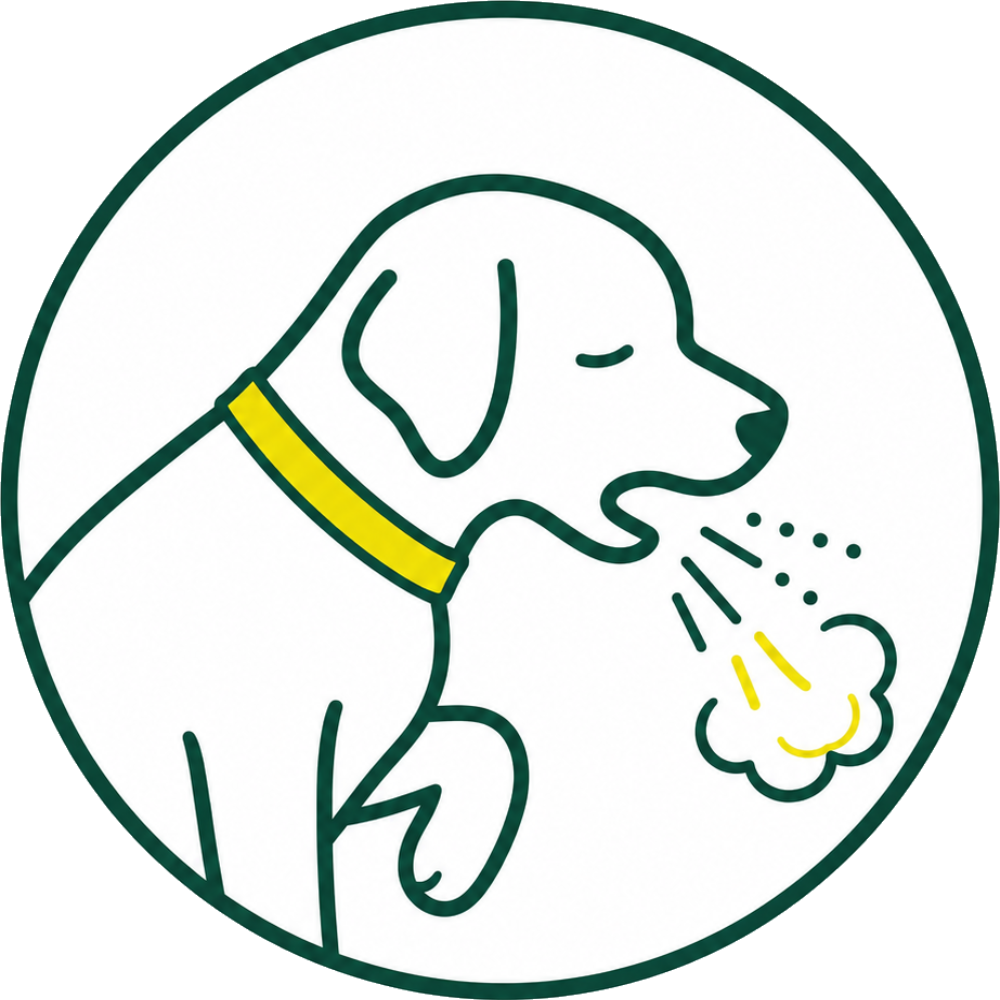 イラスト：咳が続く・咳が増えた様子の犬