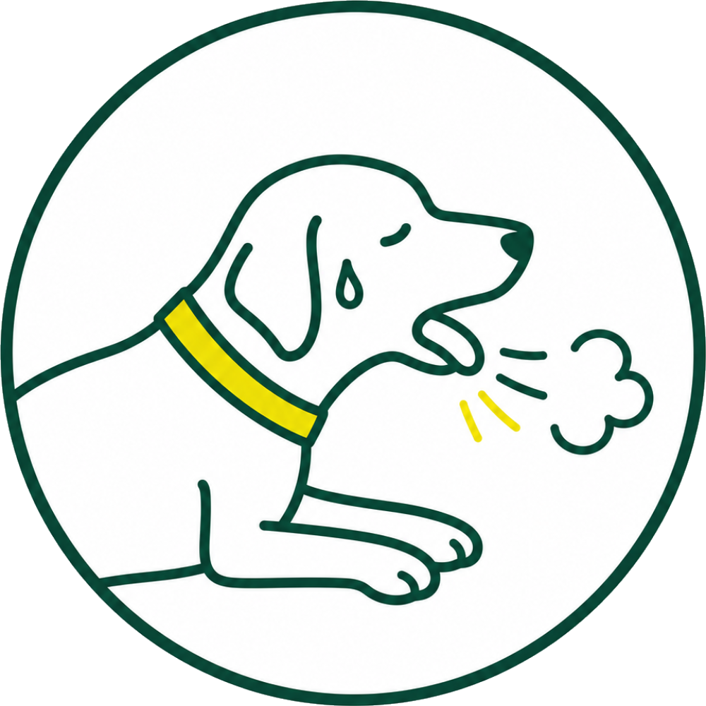 イラスト：呼吸が速い・苦しそうな犬