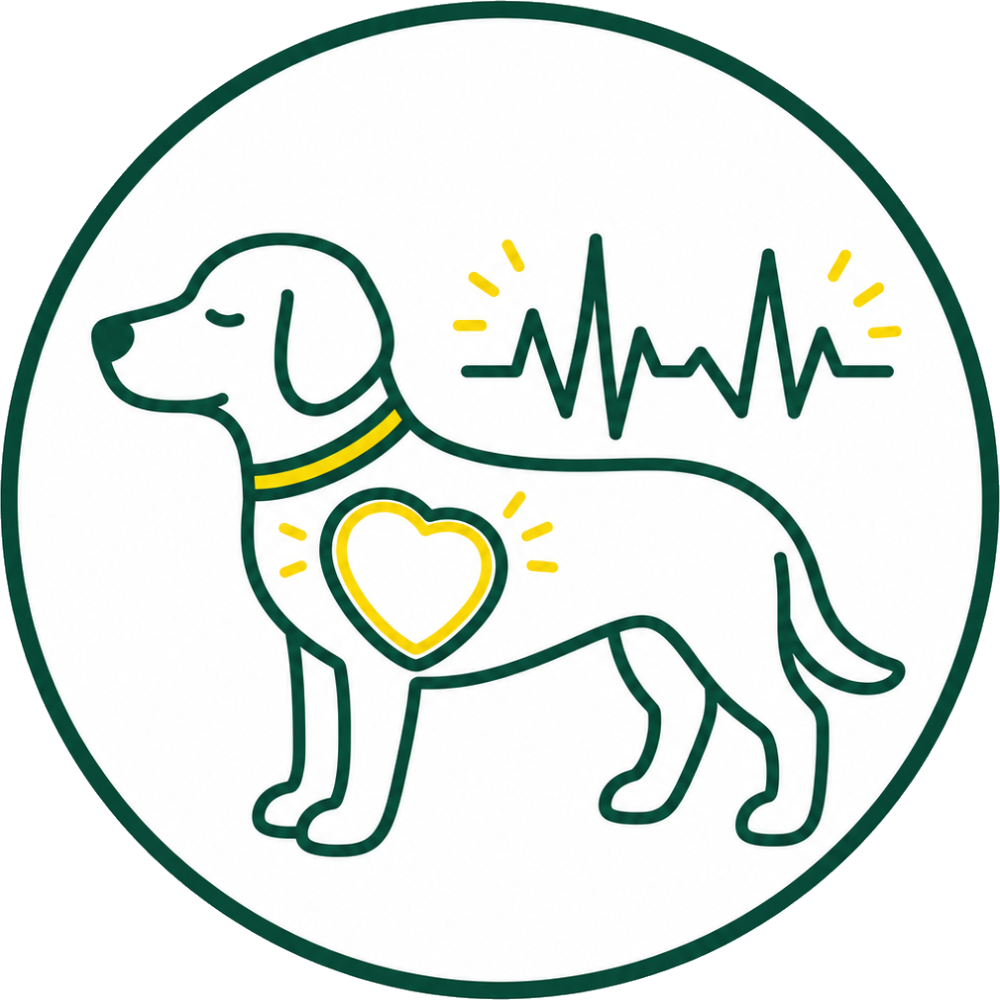 イラスト：心臓が大きい、不整脈がある犬のイメージ