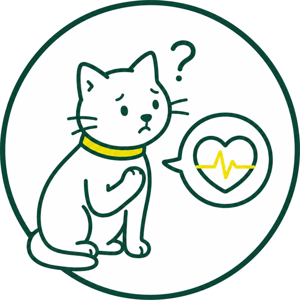 イラスト：心筋症を心配する猫の様子
