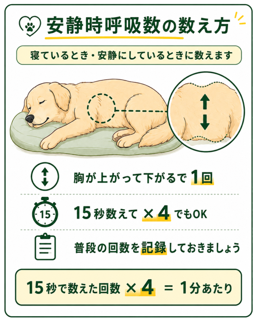 安静時呼吸数の数え方は、寝ているとき・安静にしているときに数えます。胸が「上がって下がる」を1回と数えます。普段の回数を記録しておきましょう。