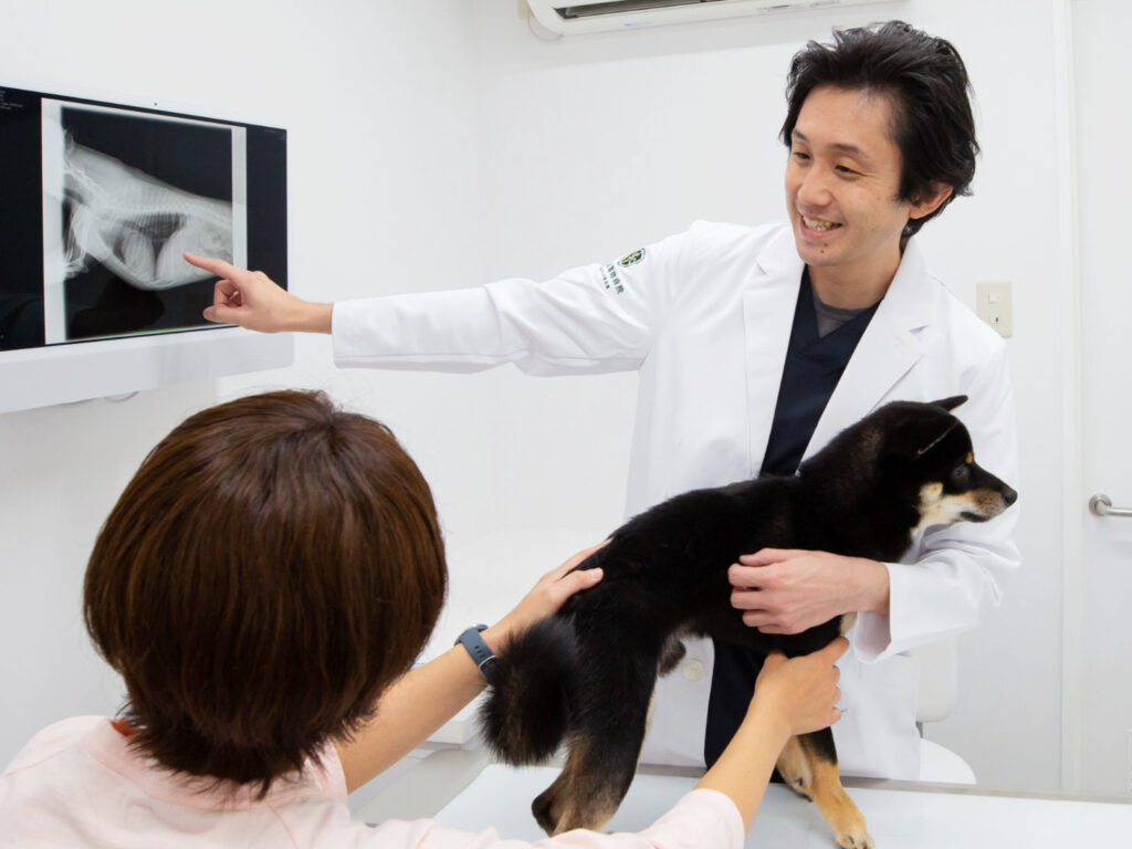 検査結果を飼い主様へ分かりやすく説明している診療⾵景