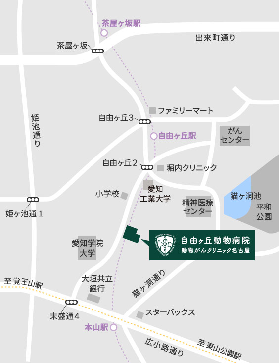 自由ヶ丘動物病院／がんクリニック名古屋のアクセスマップ